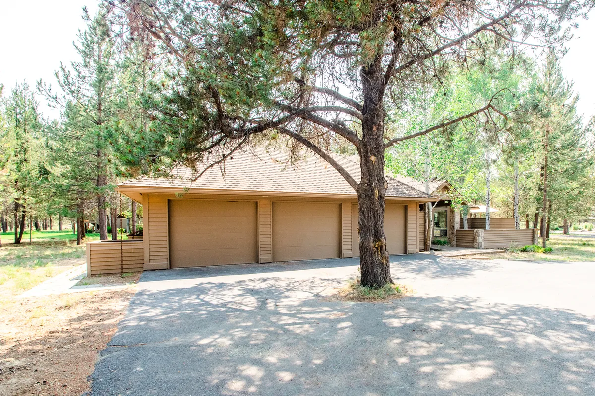A calm exterior view of the garage doors flanked by a large tree, with the driveway leading up to the house. The image conveys easy access and secure parking, set against a peaceful backdrop of nature.